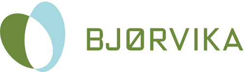 25AE3EF5-BE48-48FA-A5C8-CCF19B378EFF Bjørvika Utvikling